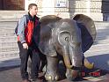 Elefant and we (2)